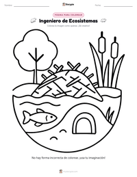 Página para colorear de Ingeniero de Ecosistemas para niños