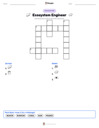 Ecosystem Engineer printable worksheet preview