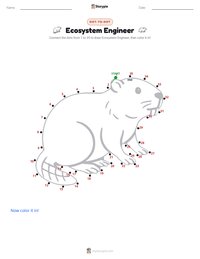 Ecosystem Engineer printable worksheet preview