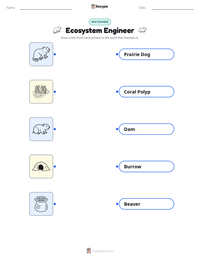 Ecosystem Engineer printable worksheet for kids