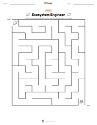 Ecosystem Engineer printable worksheet preview