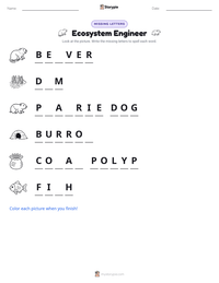 Ecosystem Engineer printable worksheet preview