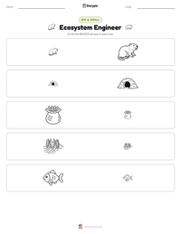 Ecosystem Engineer printable worksheet preview