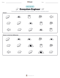 Ecosystem Engineer printable worksheet preview