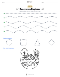 Ecosystem Engineer printable worksheet preview