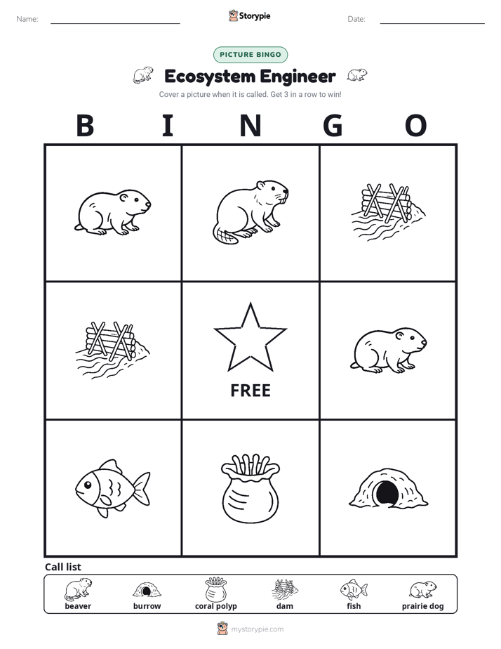Picture Bingo
