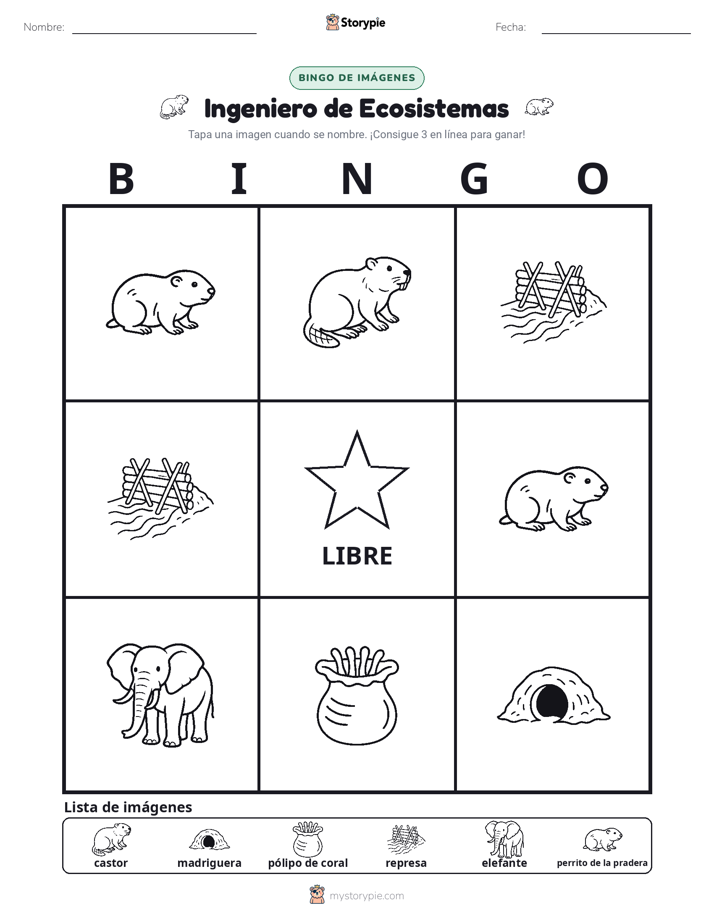 Bingo de Imágenes