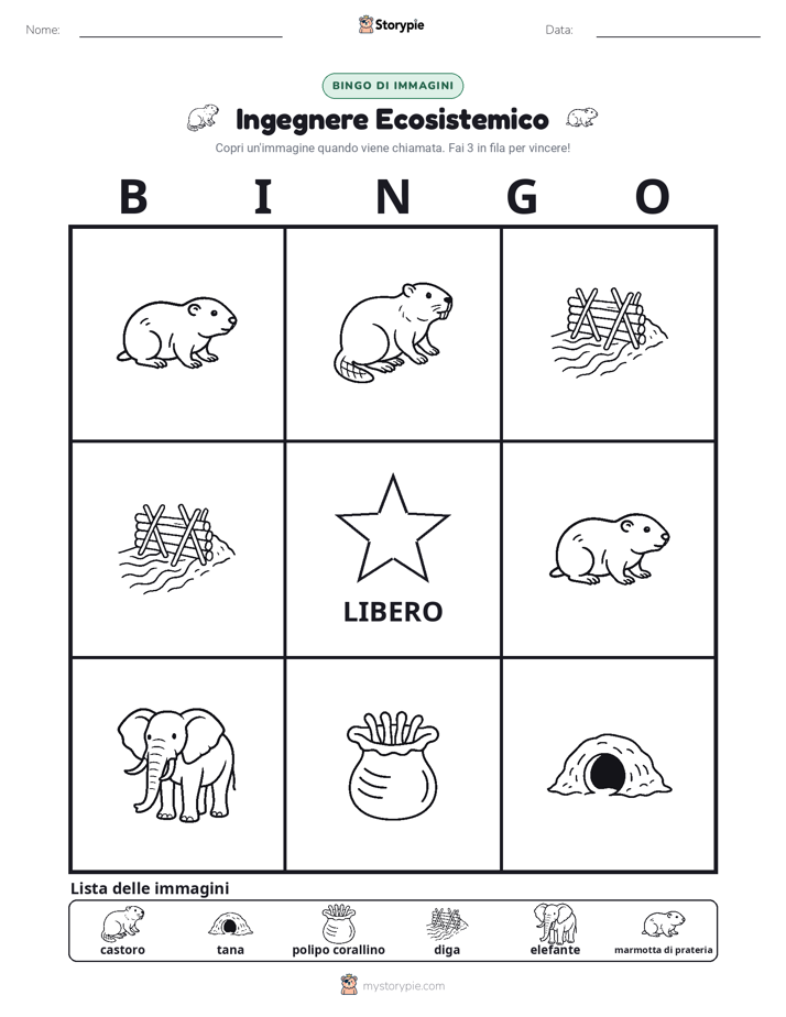 Bingo delle Immagini