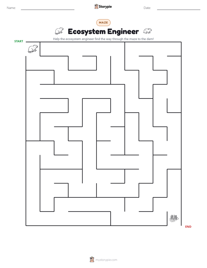 Maze
