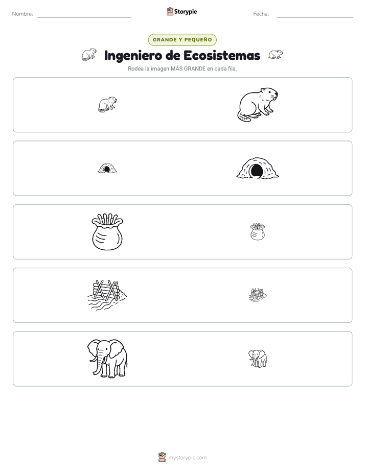 Clasificación