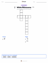 White Rhinoceros printable worksheet preview