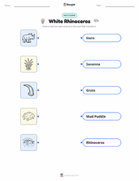 White Rhinoceros printable worksheet for kids