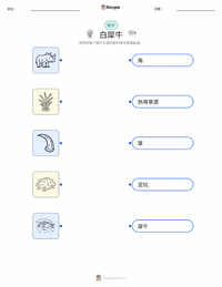 白犀牛 可打印工作表，适合儿童