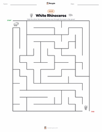 White Rhinoceros printable worksheet preview