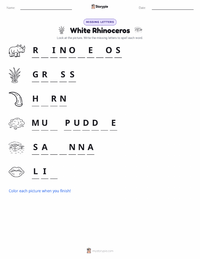 White Rhinoceros printable worksheet preview