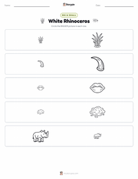 White Rhinoceros printable worksheet preview