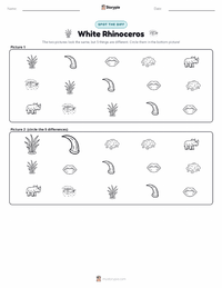 White Rhinoceros printable worksheet preview