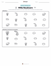 Witte neushoorn afdrukbare werkblad voorbeeld