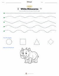 White Rhinoceros printable worksheet preview