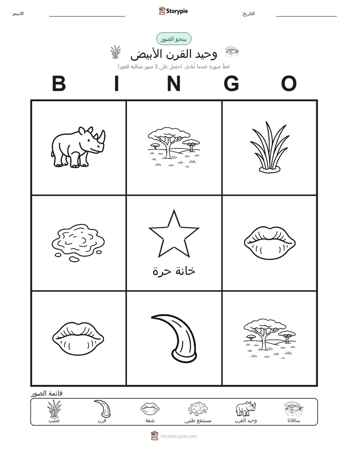 بينغو الصور