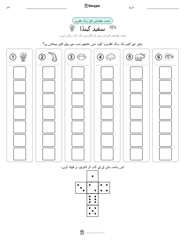 رول اور رنگ