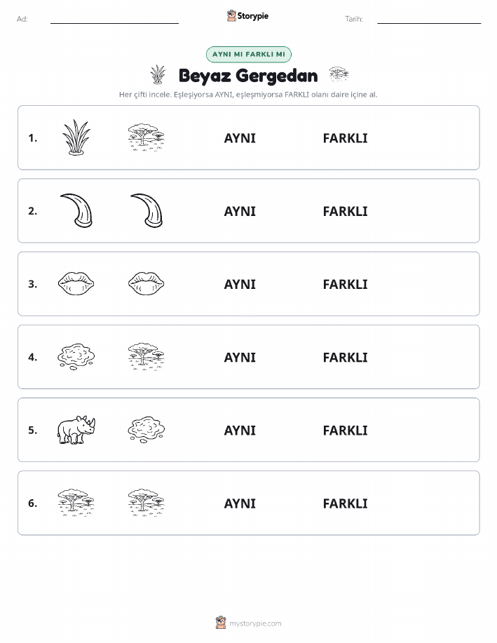 Aynı mı Farklı mı