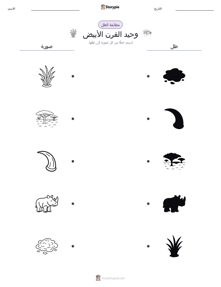 مطابقة الظل