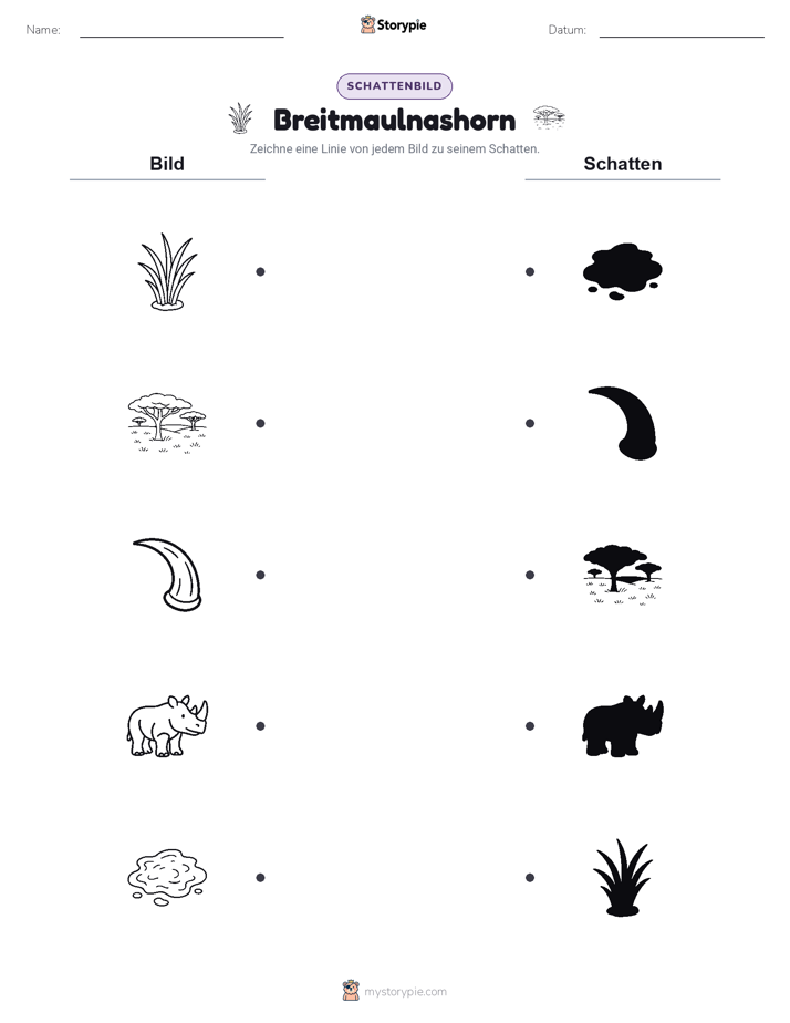 Schattenmatch
