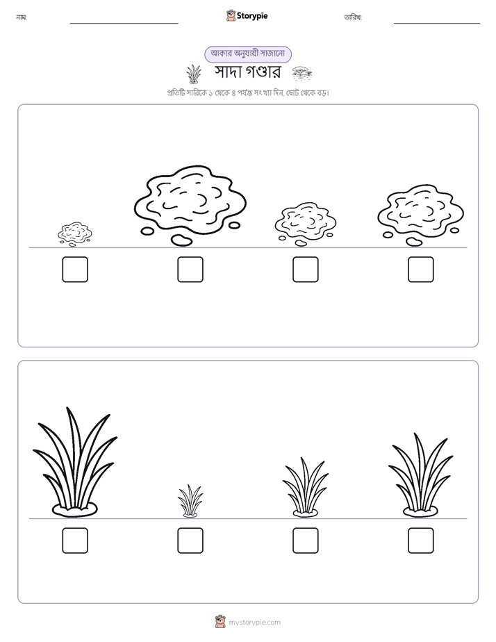 আকারের ক্রম