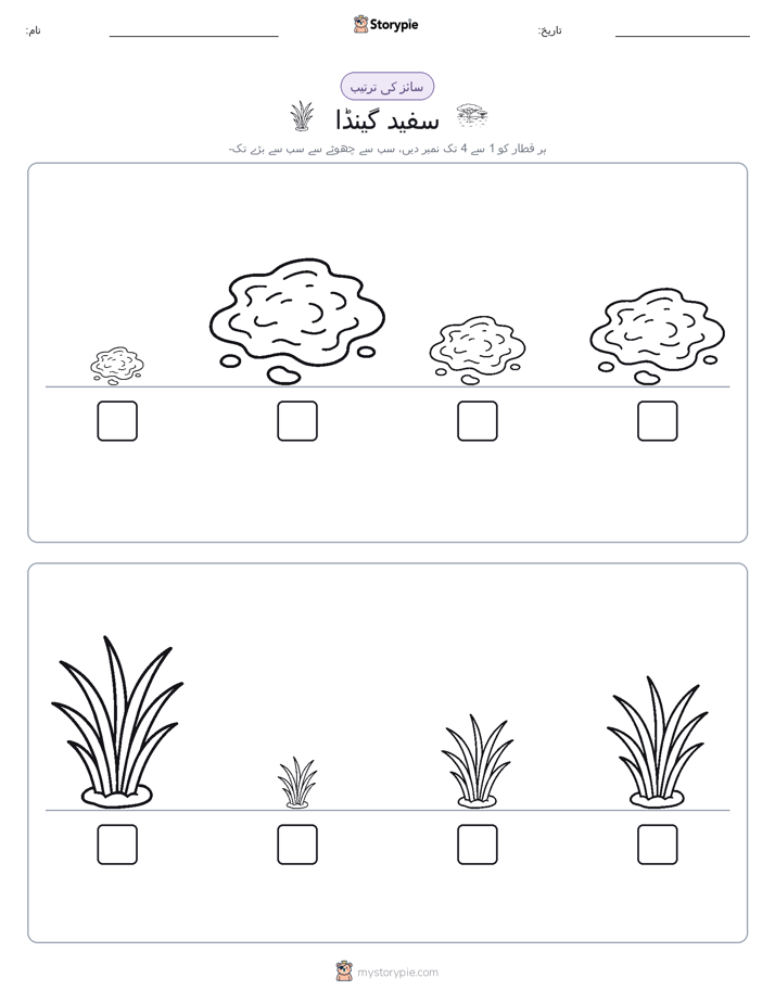 سائز کی ترتیب