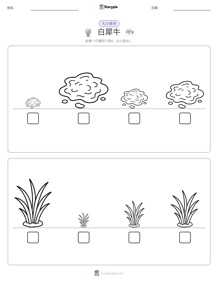 大小排序