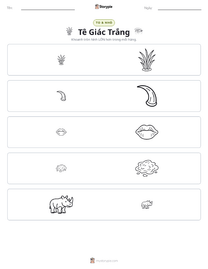 Phân Loại