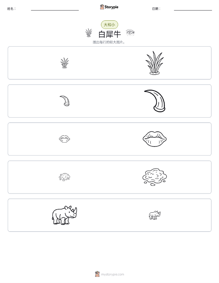 分类