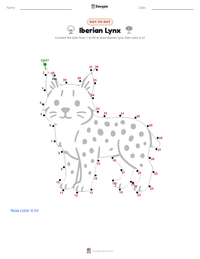 Iberian Lynx printable worksheet preview