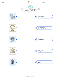 معاينة ورقة العمل القابلة للطباعة الوشق الأيبيري