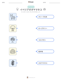 イベリアオオヤマネコ の印刷可能ワークシートプレビュー