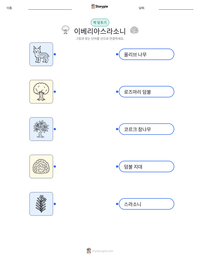 이베리아스라소니 인쇄 가능한 워크시트 미리보기