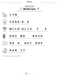 Iberian Lynx printable worksheet preview