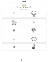 معاينة ورقة العمل القابلة للطباعة الوشق الأيبيري