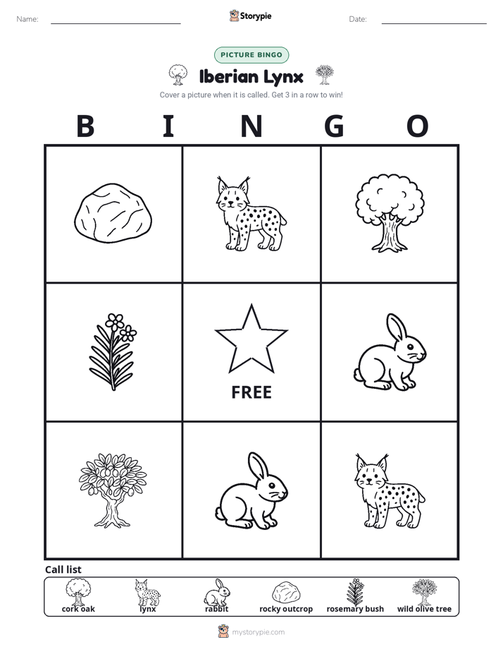 Picture Bingo