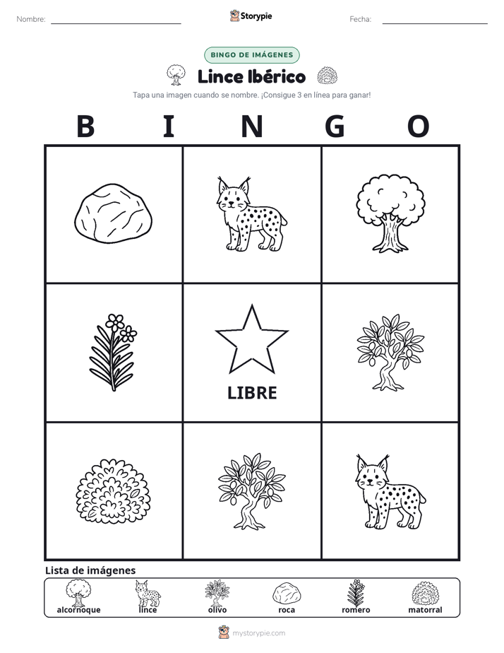 Bingo de Imágenes