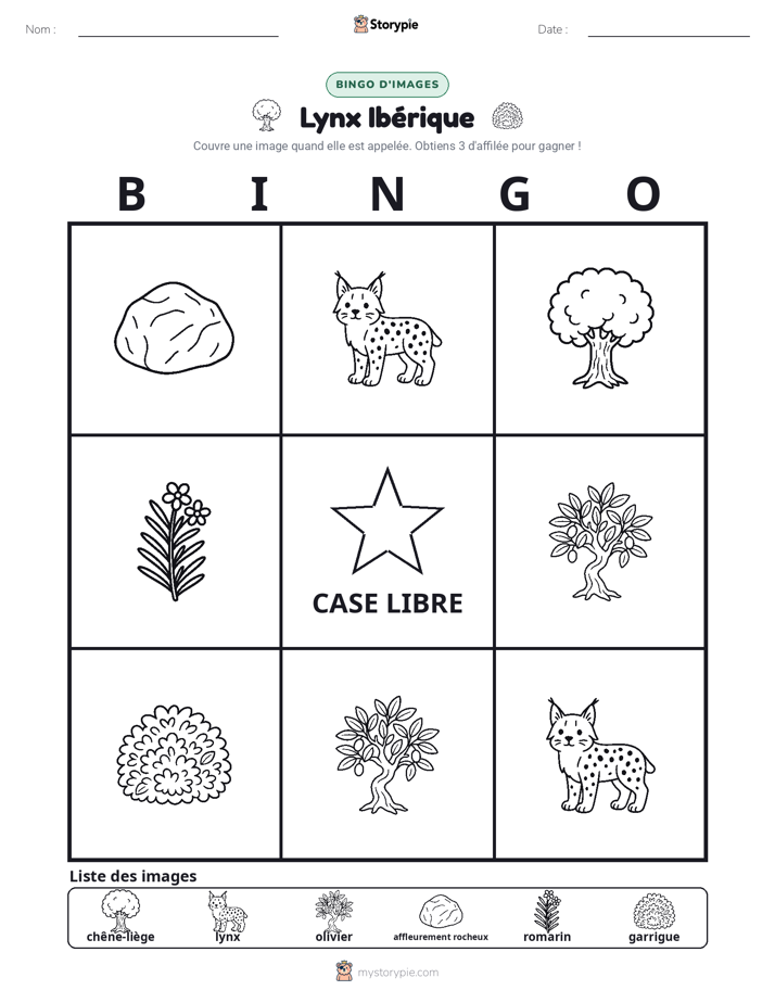 Bingo d'Images