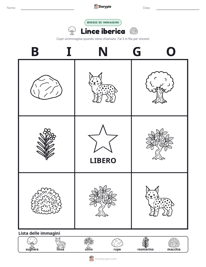 Bingo delle Immagini