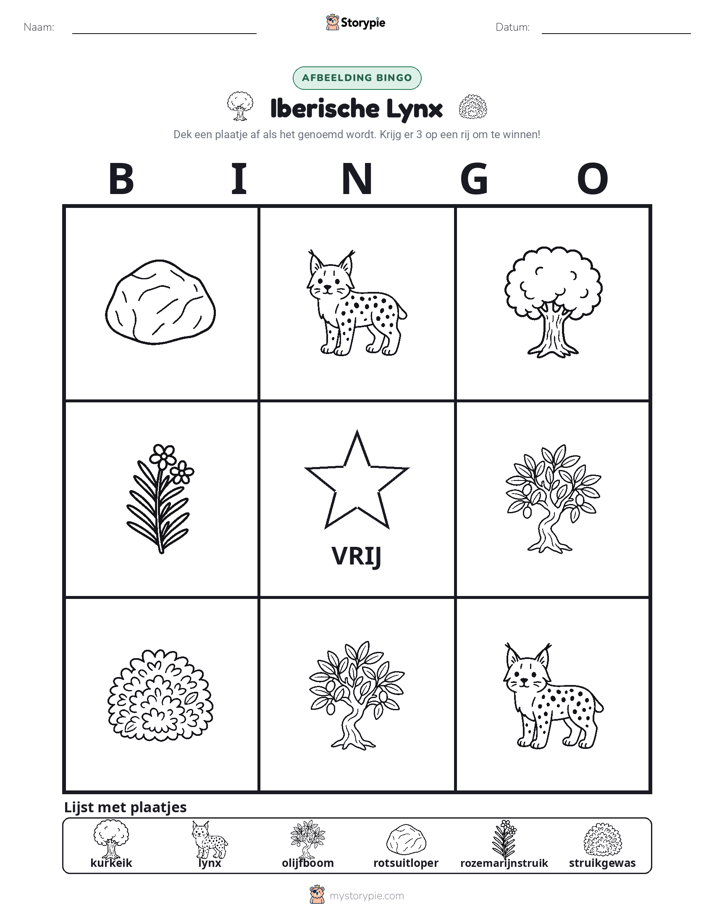Afbeelding Bingo