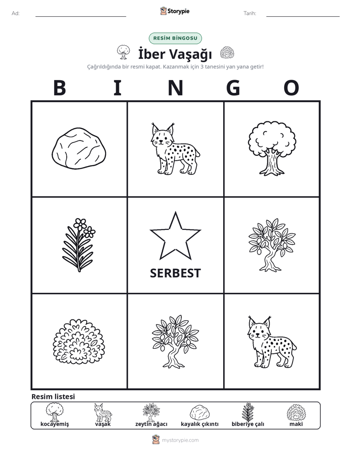 Resim Bingo
