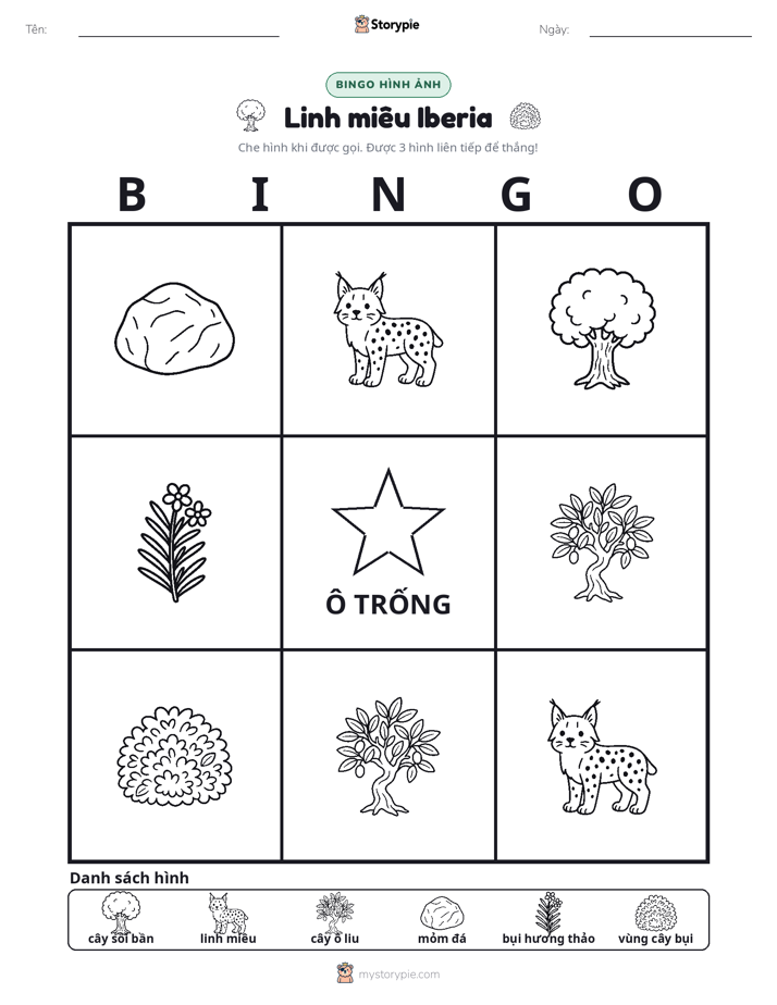 Bingo Hình Ảnh