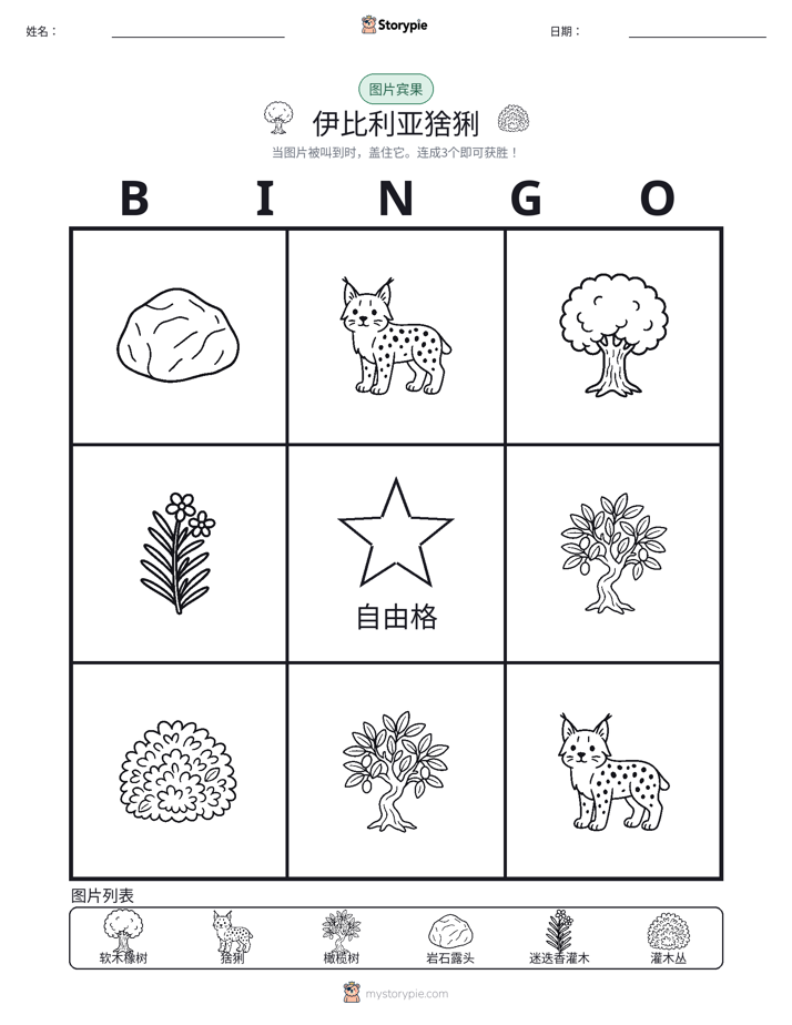 图片宾果
