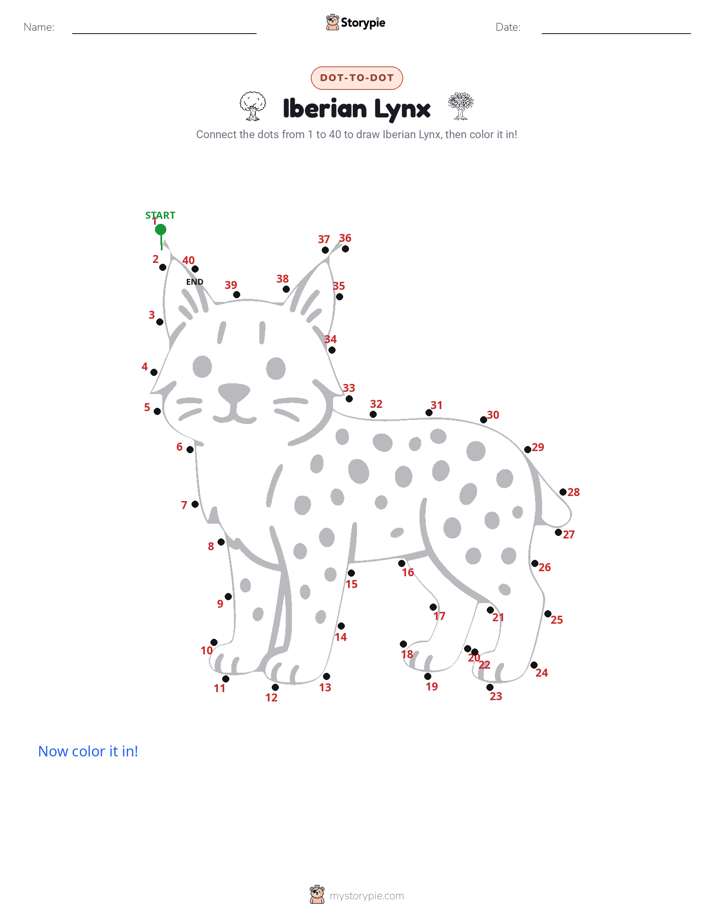 Dot to Dot