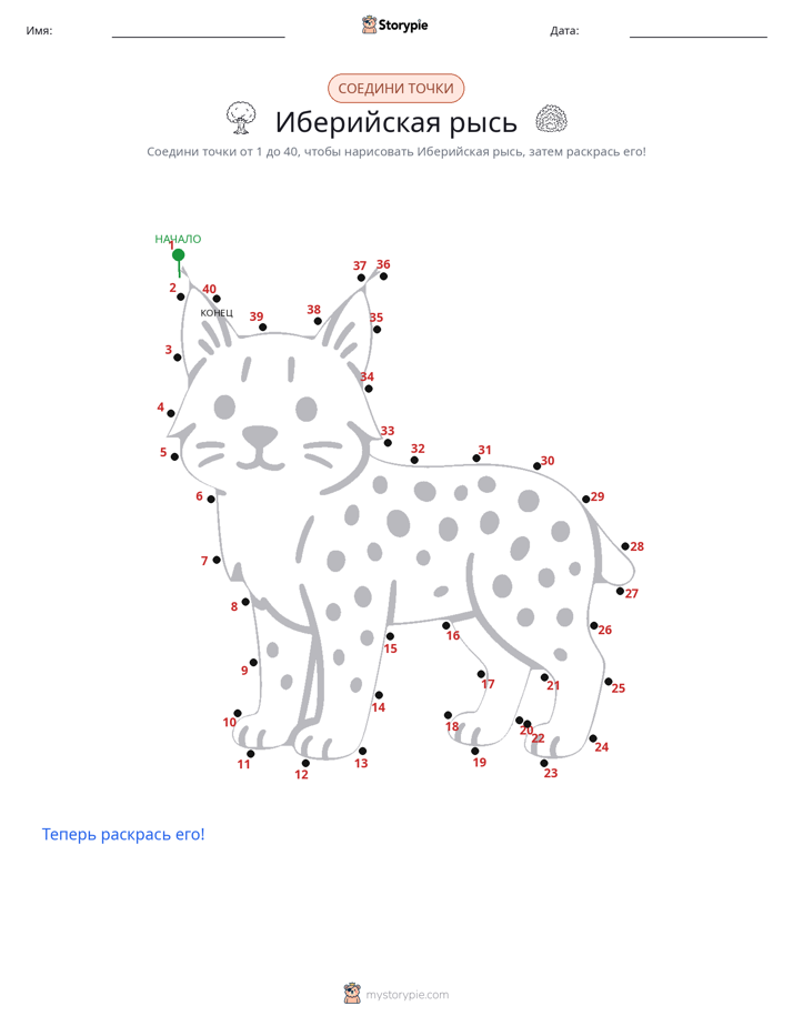 Соедини точки