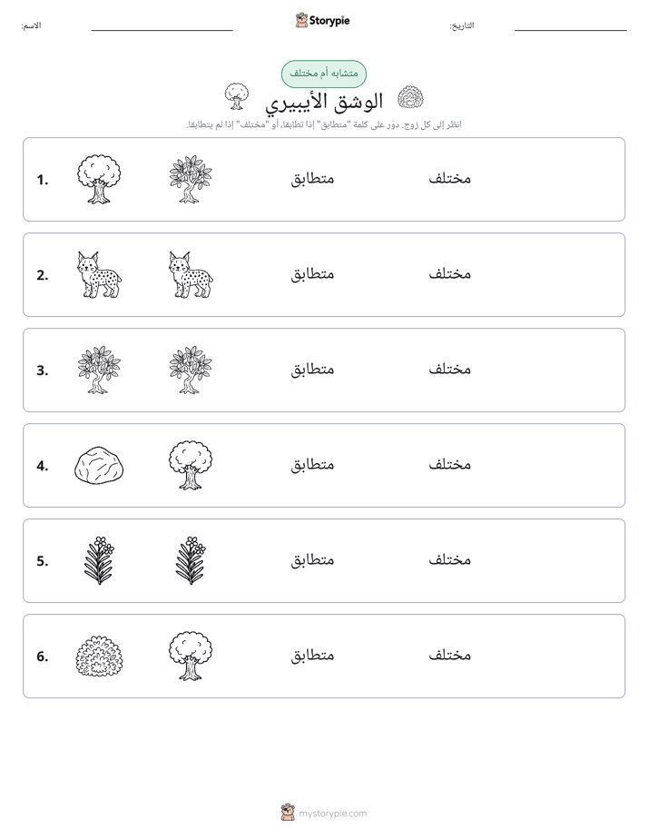 نفس أو مختلف